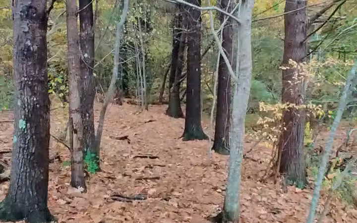 Rogers Park Conservation Area - Kittery, ME