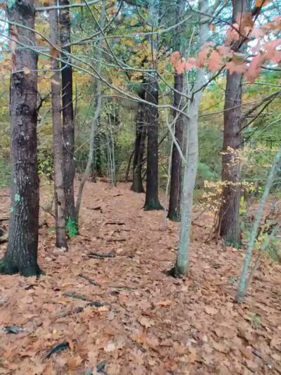 Rogers Park Conservation Area - Kittery, ME