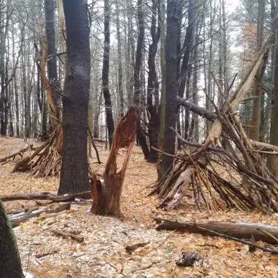 Rogers Park Conservation Area - Kittery, ME