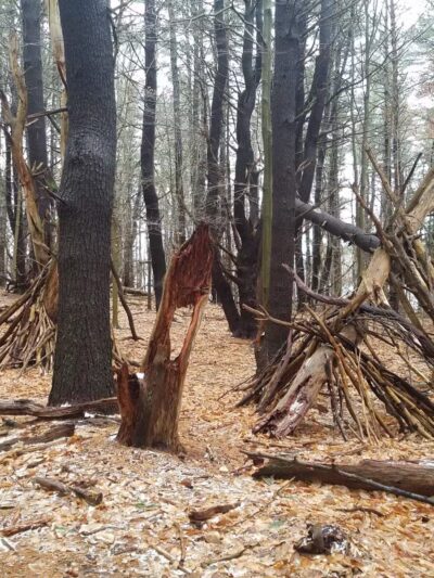 Rogers Park Conservation Area - Kittery, ME