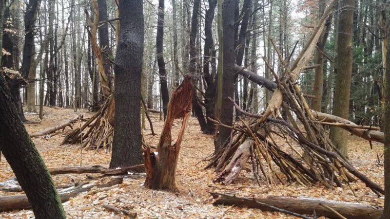 Rogers Park Conservation Area - Kittery, ME