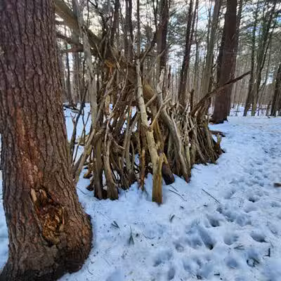 Rogers Park Conservation Area - Kittery, ME