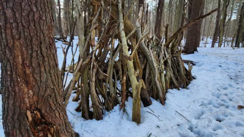 Rogers Park Conservation Area - Kittery, ME