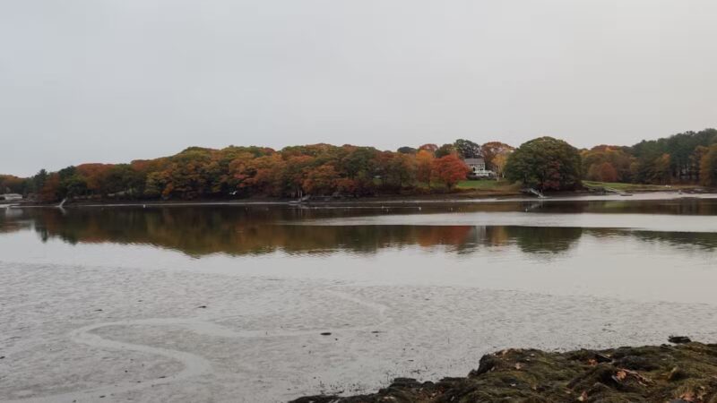 Rogers Park Conservation Area - Kittery, ME