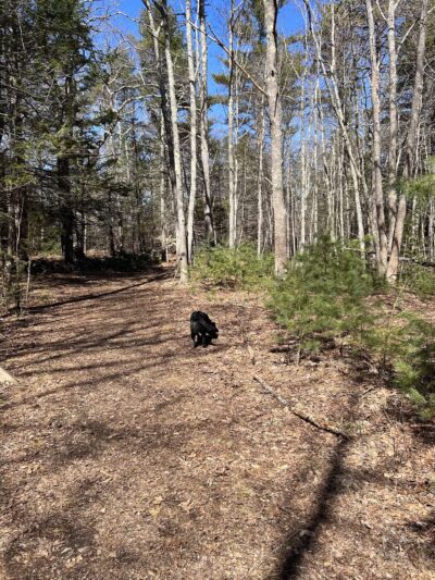 Brave Boat Headwaters - Kittery Point, ME