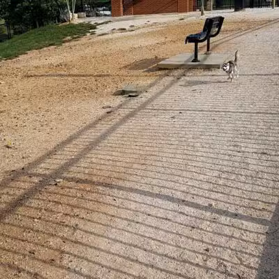 Petsafe Downtown Dog Park - Knoxville, TN