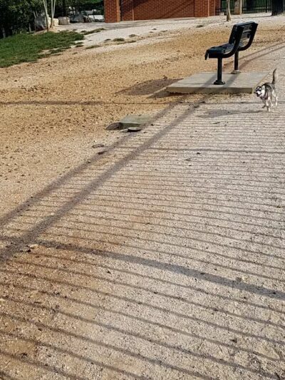 Petsafe Downtown Dog Park - Knoxville, TN