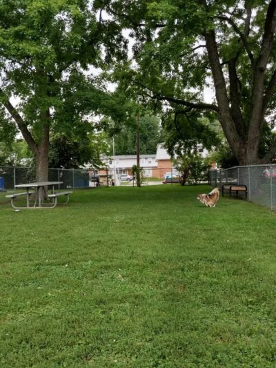 Mehlig Dog Park - Kokomo, IN