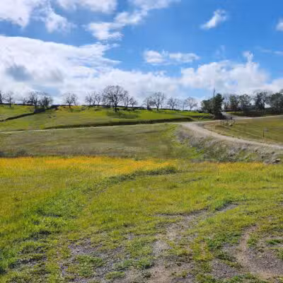 Alfier Park - La Grange, CA