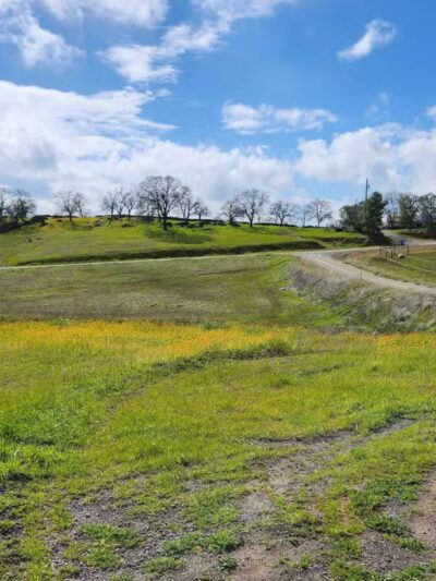 Alfier Park - La Grange, CA