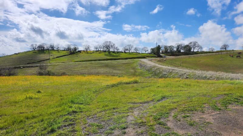 Alfier Park - La Grange, CA