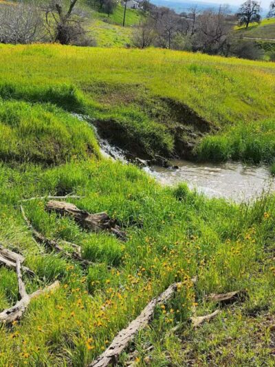 Alfier Park - La Grange, CA