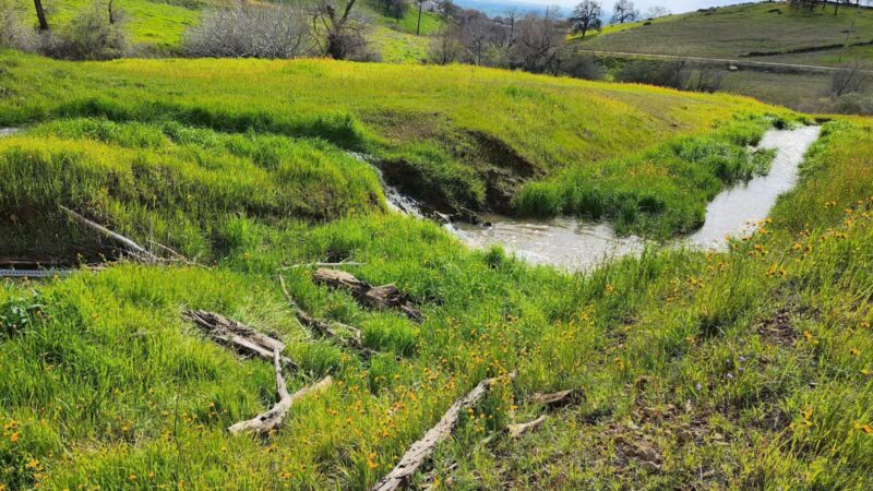 Alfier Park - La Grange, CA