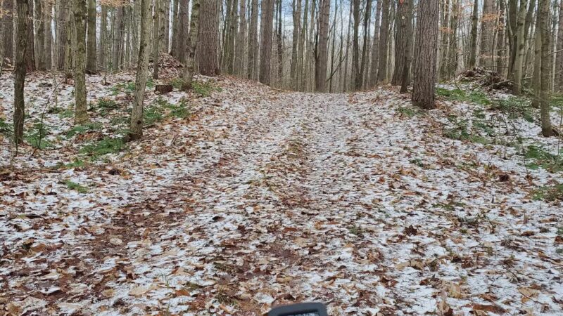 Winona State Forest Trail Head - Lacona, NY