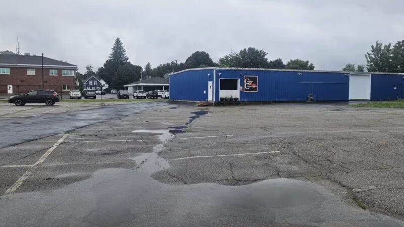 Canine Connection, LLC - Laconia, NH