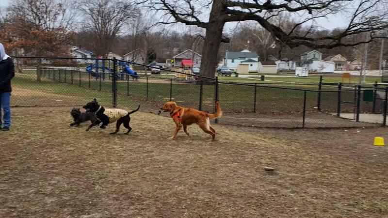 Dog Park Association of Greater Lafayette - Lafayette, IN