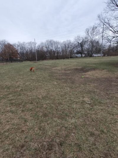 Dog Park Association of Greater Lafayette - Lafayette, IN