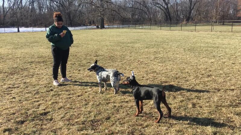 Dog Park Association of Greater Lafayette - Lafayette, IN