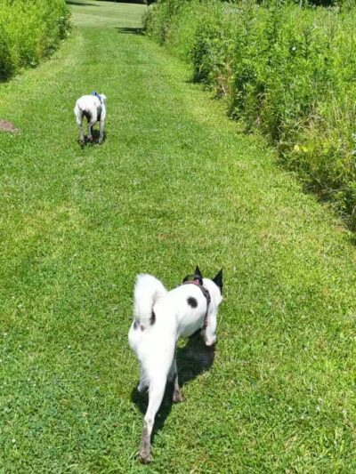 Max Playground - Lafayette, IN