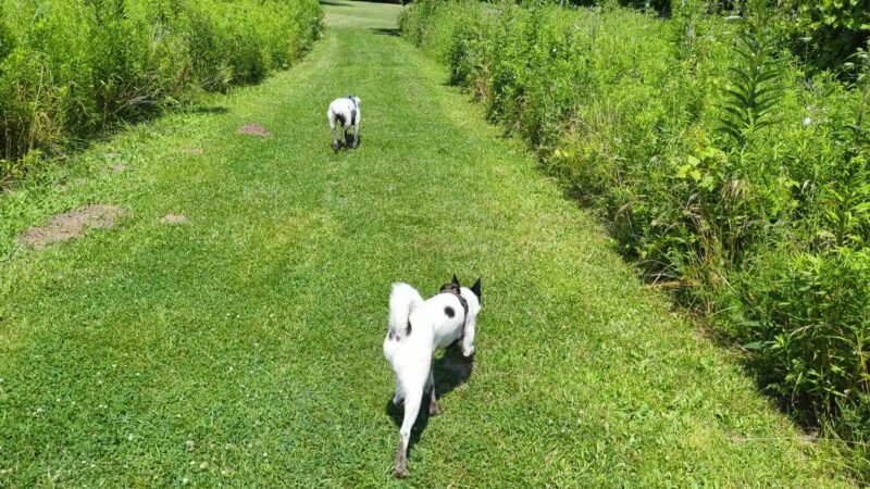 Max Playground - Lafayette, IN