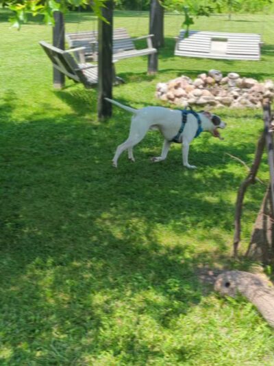 Max Playground - Lafayette, IN