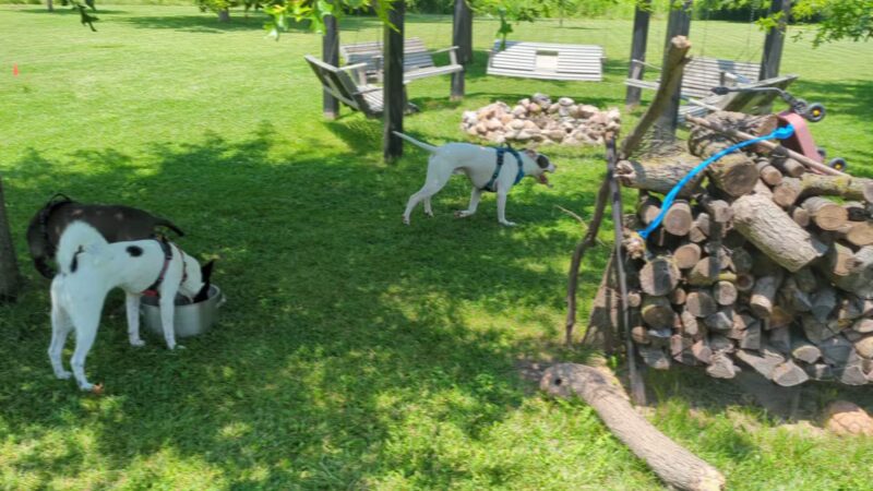 Max Playground - Lafayette, IN