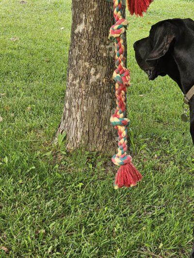 Max Playground - Lafayette, IN