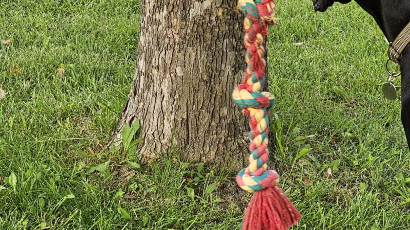 Max Playground - Lafayette, IN