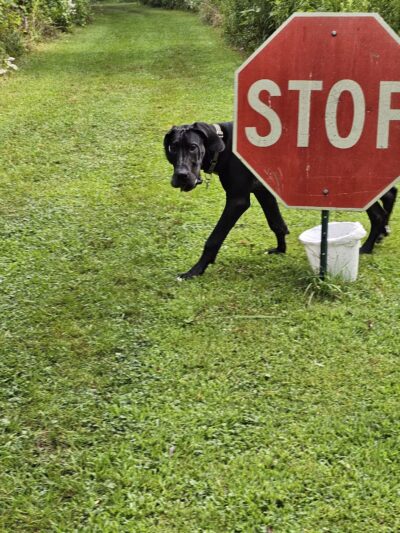 Max Playground - Lafayette, IN