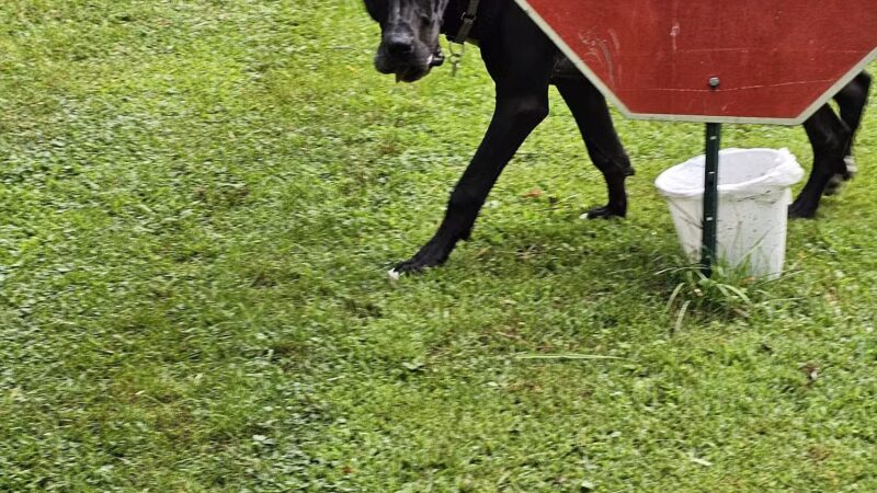 Max Playground - Lafayette, IN