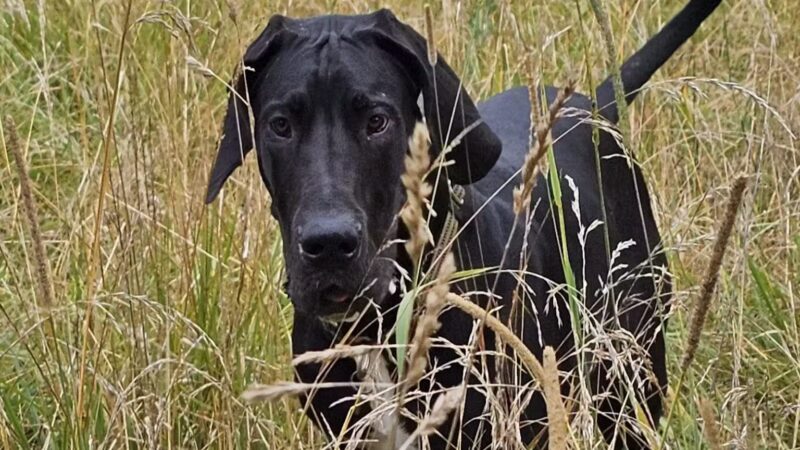 Max Playground - Lafayette, IN