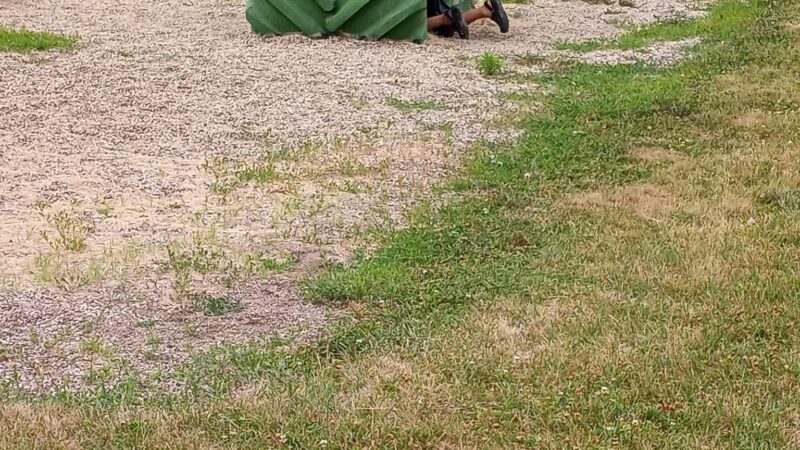 Goins Park - Lake City, IA