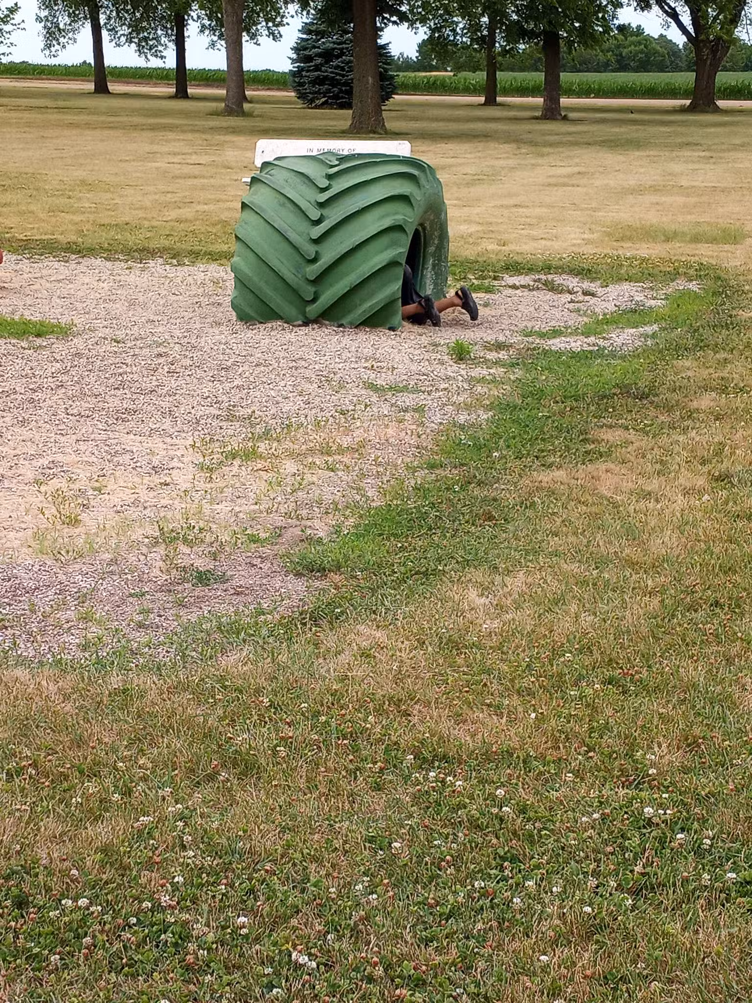 Goins Park - Lake City, IA