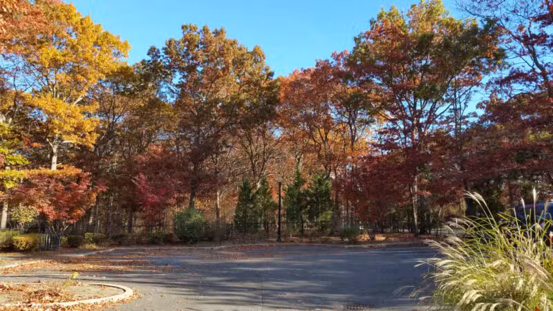 Robert J. Henke Nature Preserve Passive Park - Lake Grove, NY