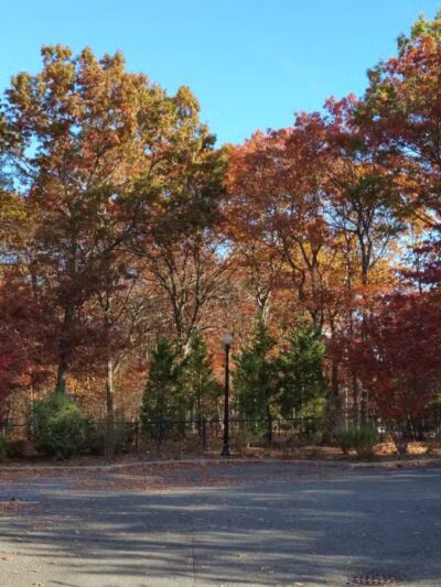 Robert J. Henke Nature Preserve Passive Park - Lake Grove, NY