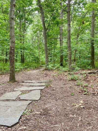 Robert J. Henke Nature Preserve Passive Park - Lake Grove, NY