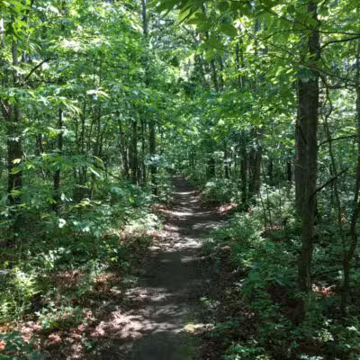 Robert J. Henke Nature Preserve Passive Park - Lake Grove, NY