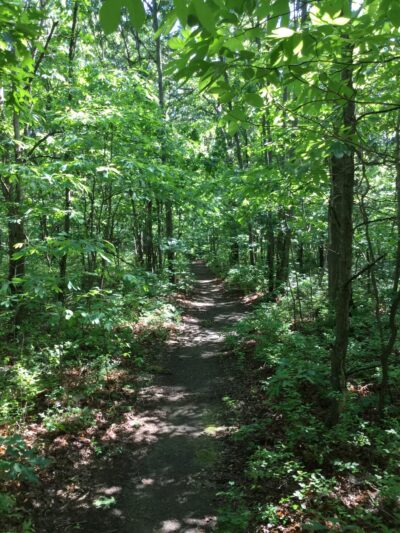 Robert J. Henke Nature Preserve Passive Park - Lake Grove, NY