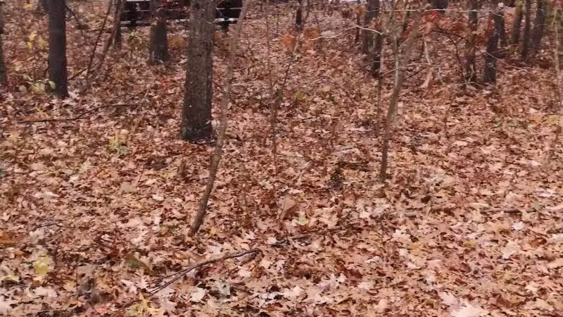 Robert J. Henke Nature Preserve Passive Park - Lake Grove, NY