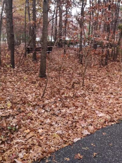 Robert J. Henke Nature Preserve Passive Park - Lake Grove, NY