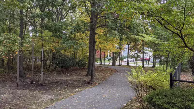 Robert J. Henke Nature Preserve Passive Park - Lake Grove, NY