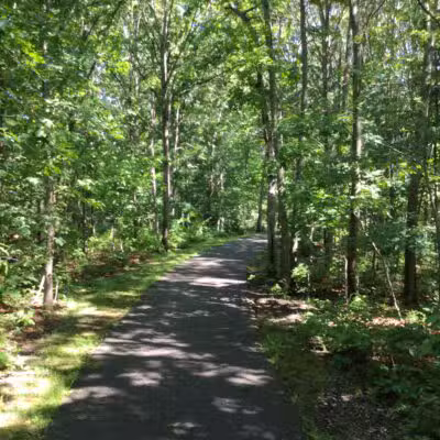 Robert J. Henke Nature Preserve Passive Park - Lake Grove, NY