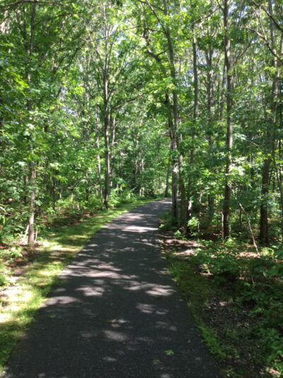 Robert J. Henke Nature Preserve Passive Park - Lake Grove, NY
