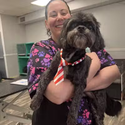Bark Ave Bath & Biscuit Grooming - Lake Ronkonkoma, NY