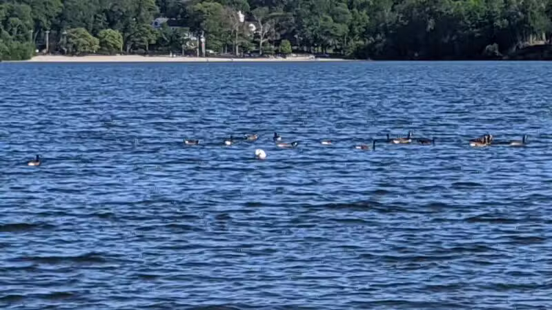 Lake Ronkonkoma County Park Home of Syag Sports - Lake Ronkonkoma, NY