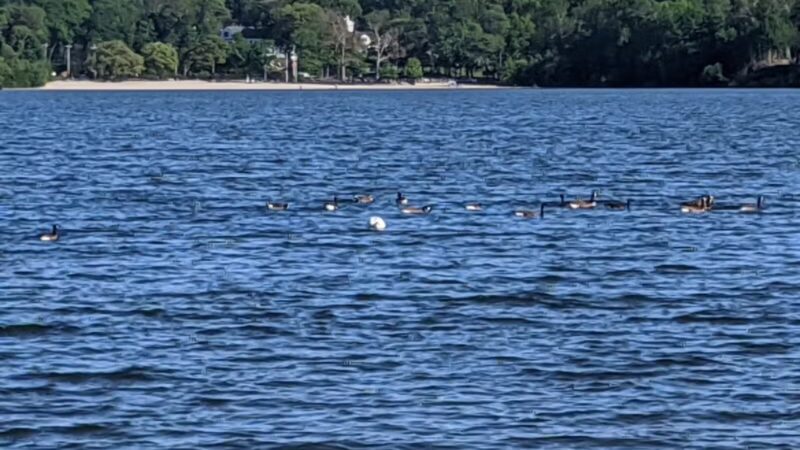 Lake Ronkonkoma County Park Home of Syag Sports - Lake Ronkonkoma, NY
