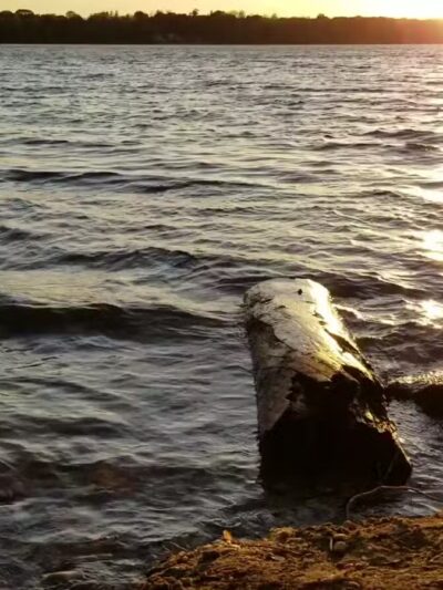 Larry's Landing - Lake Ronkonkoma, NY