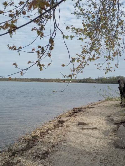 Larry's Landing - Lake Ronkonkoma, NY