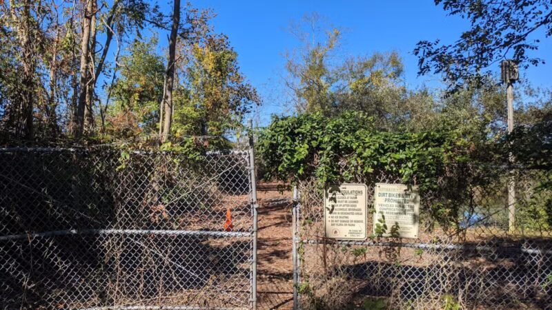 Lily Pond County Park - Lake Ronkonkoma, NY