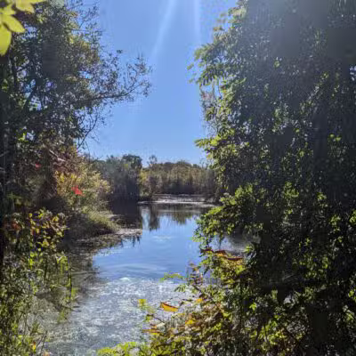 Lily Pond County Park - Lake Ronkonkoma, NY